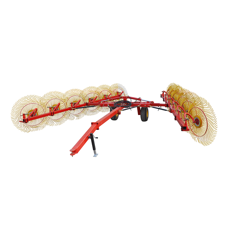 Belarra gurpila