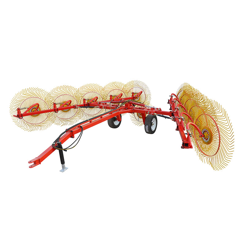 Gurpileko belarra rake belarra